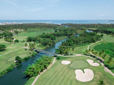 Wyndham Grand Rio Mar Rainforest Beach and Golf Resort - Image 50