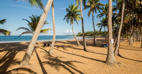 Wyndham Grand Rio Mar Rainforest Beach and Golf Resort - Image 93