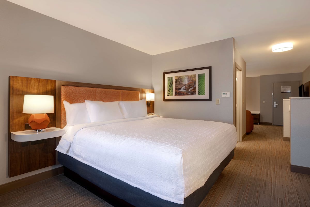 One king suite sofabed non smoking | 1 bedroom, in-room safe, iron/ironing board, free cribs/infant beds