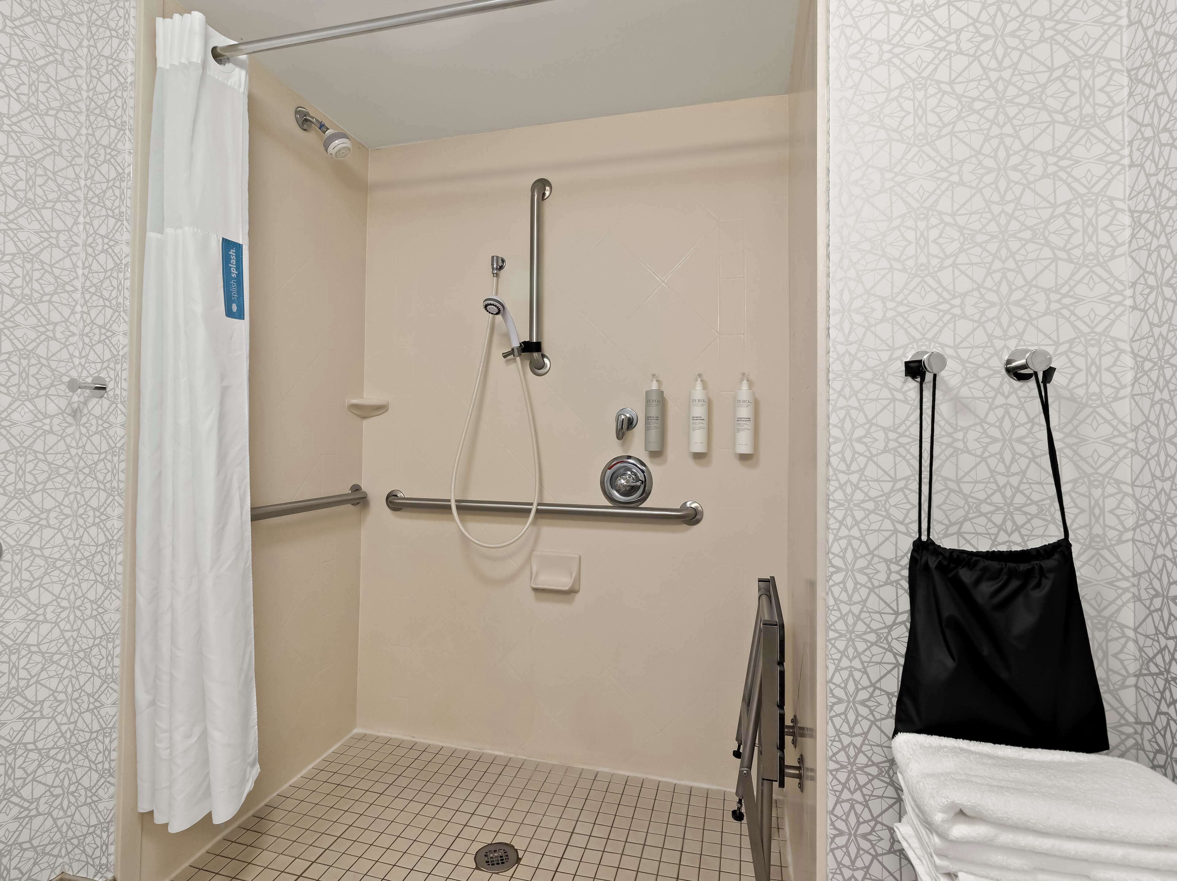 room, 1 king bed, accessible, non smoking | bathroom shower