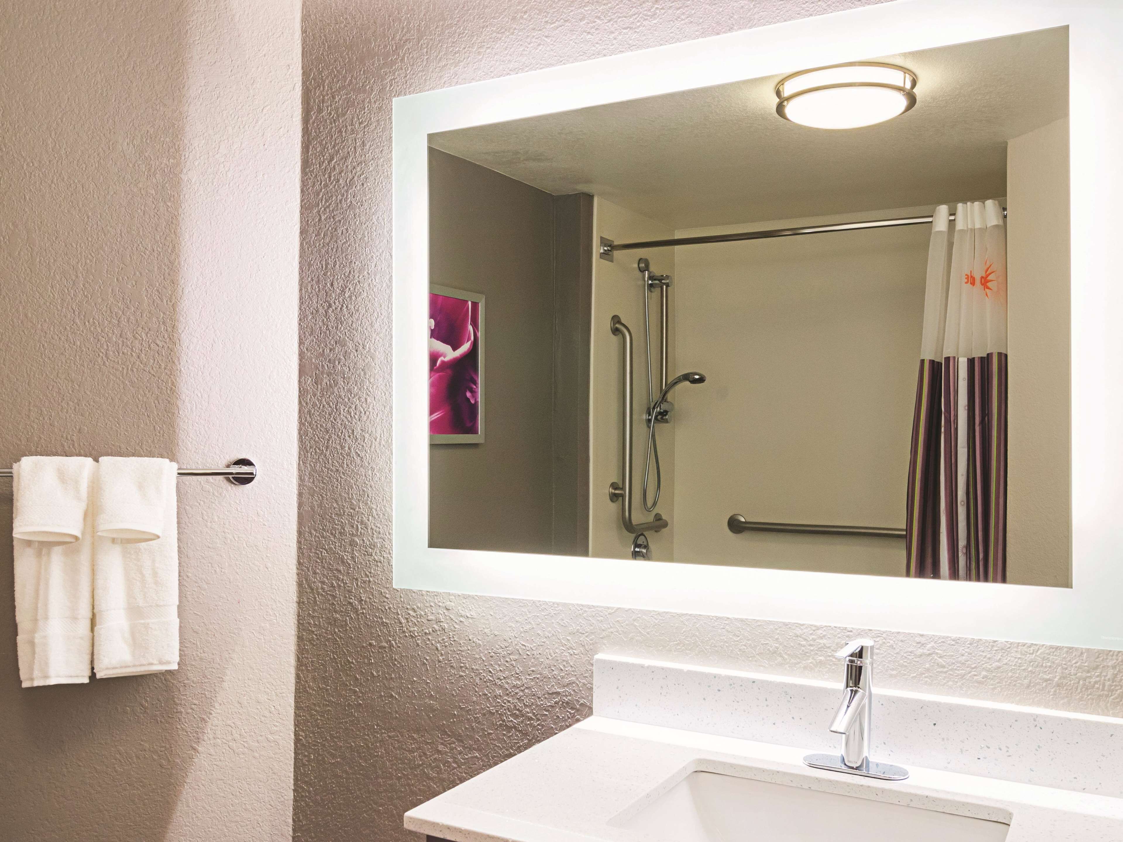 A bathroom with a white sink, a large mirror, and a shower with a grab bar.