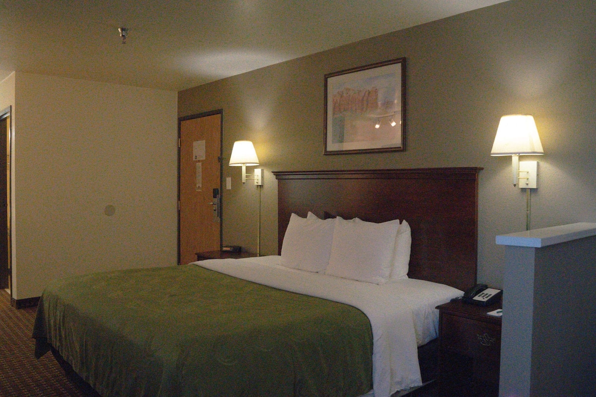 Suite, 1 King Bed with Sofa bed, Non Smoking | Premium bedding, pillow-top beds, laptop workspace, blackout curtains