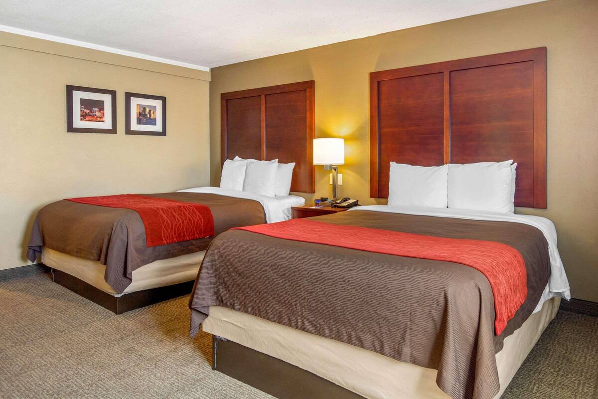 Premium bedding, pillow-top beds, desk, laptop workspace