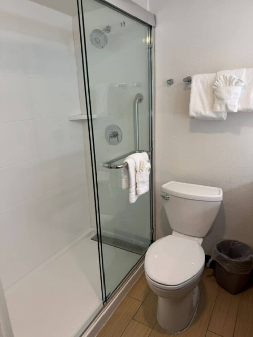 Ein Badezimmer mit einer Duschkabine, einer weißen Toilette und einem Mülleimer.
