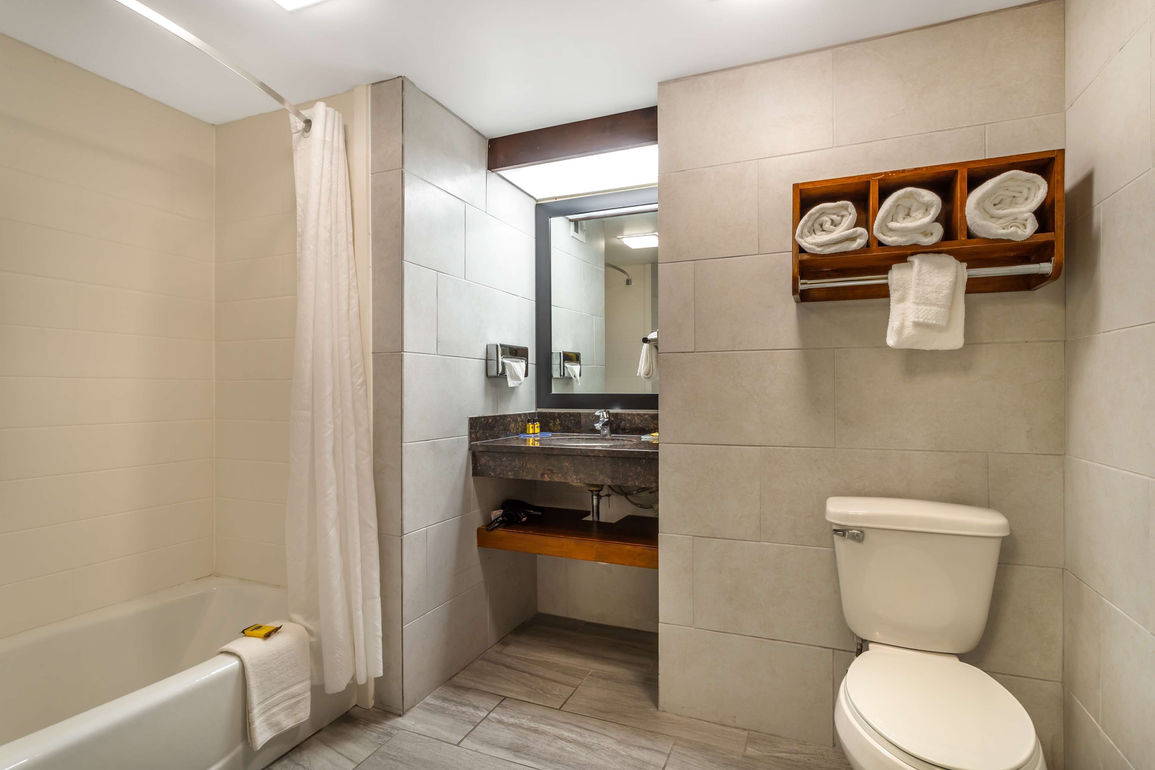 standard room, 1 king bed with sofa bed, non smoking, refrigerator & microwave (with sofabed) | bathroom | combined shower/bathtub, hydromassage showerhead, free toiletries