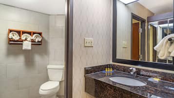 Un bany amb vàter, un lavabo amb mirall i un escurapous.