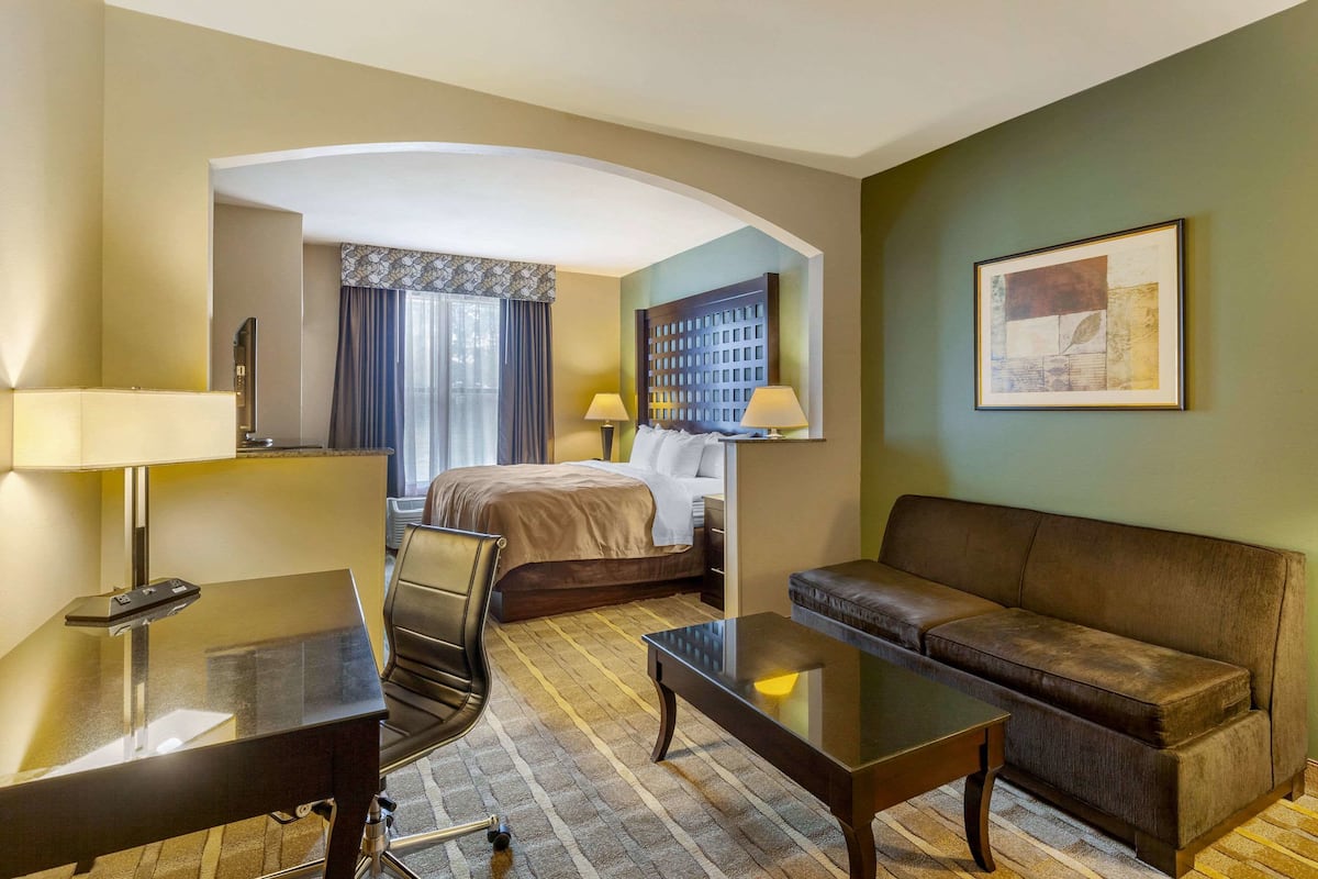 Una habitación de hotel con una cama, un sofá, un escritorio y una silla.