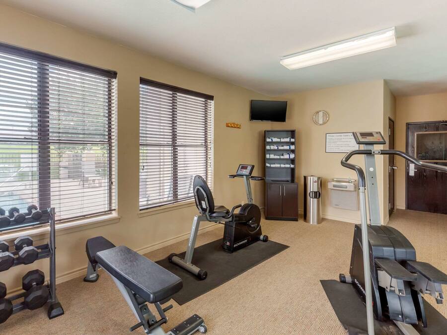 A gym with exercise equipment, dumbbells, a bench, and a treadmill.