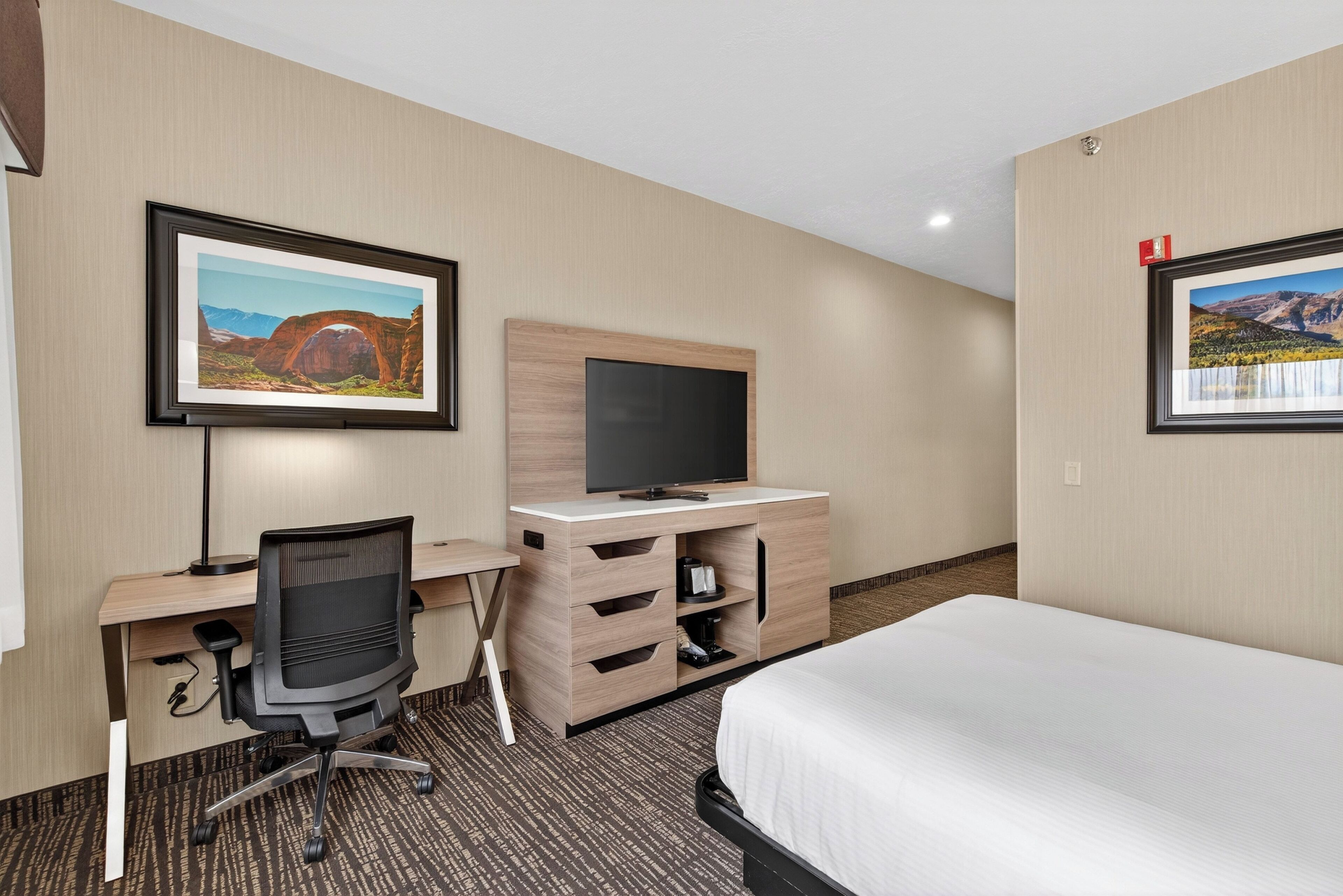 Habitación de hotel con una cama, un escritorio con televisor y dos cuadros en las paredes.