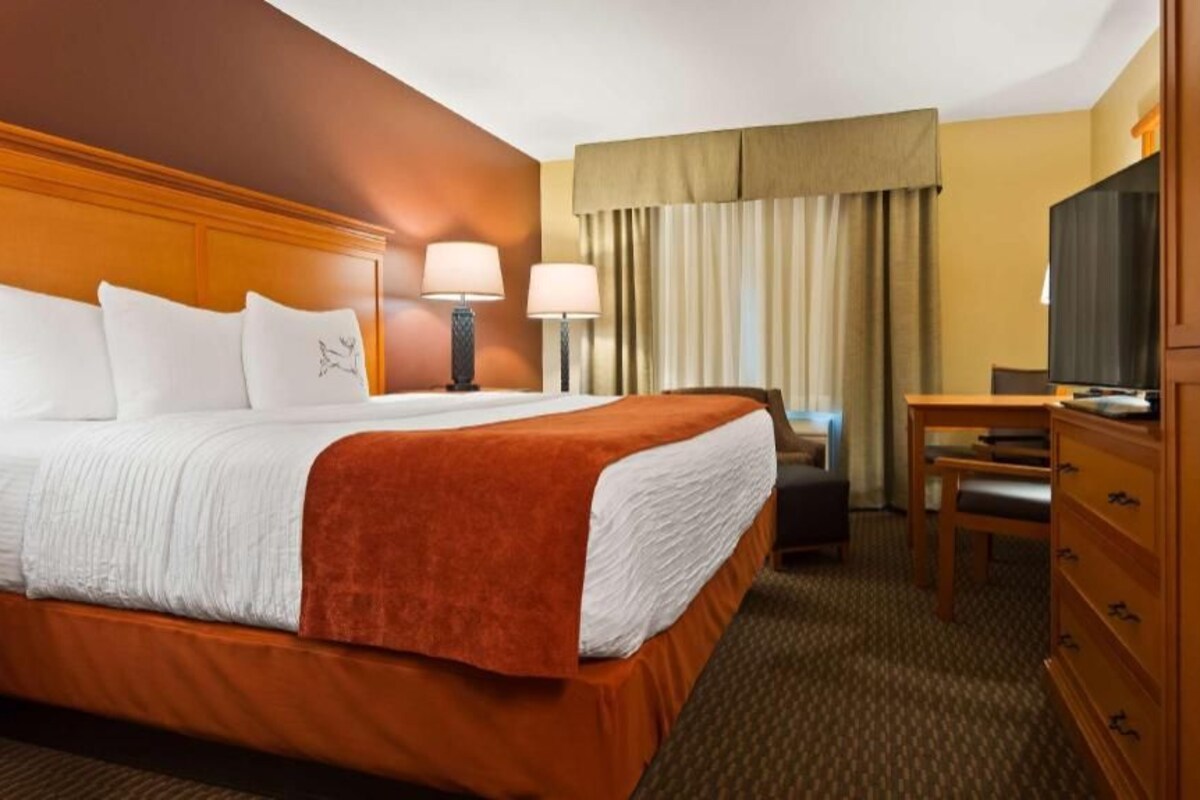 Una habitación de hotel con una cama grande, un escritorio, un televisor y un armario.