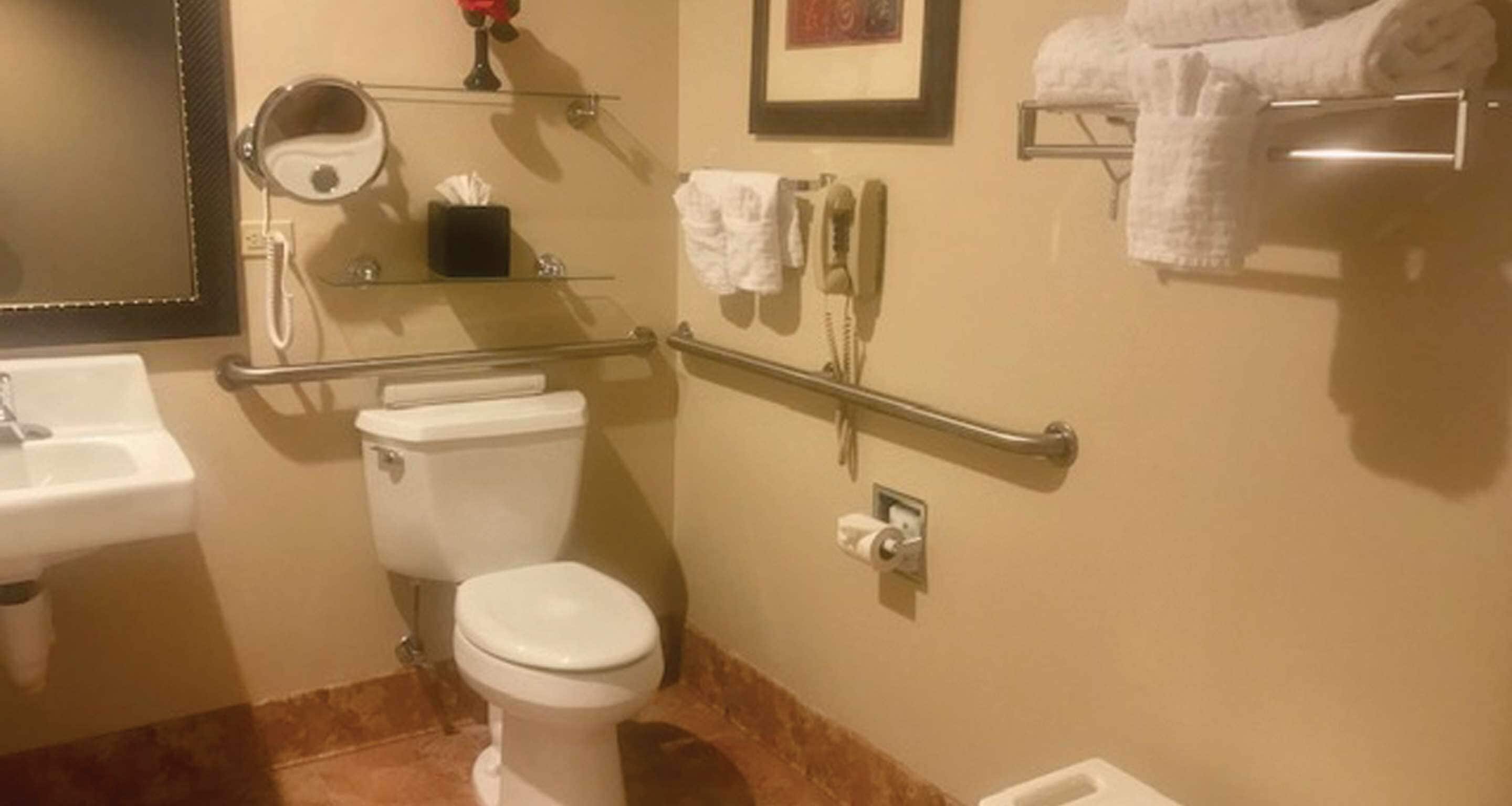 combined shower/bathtub, free toiletries, hair dryer, towels