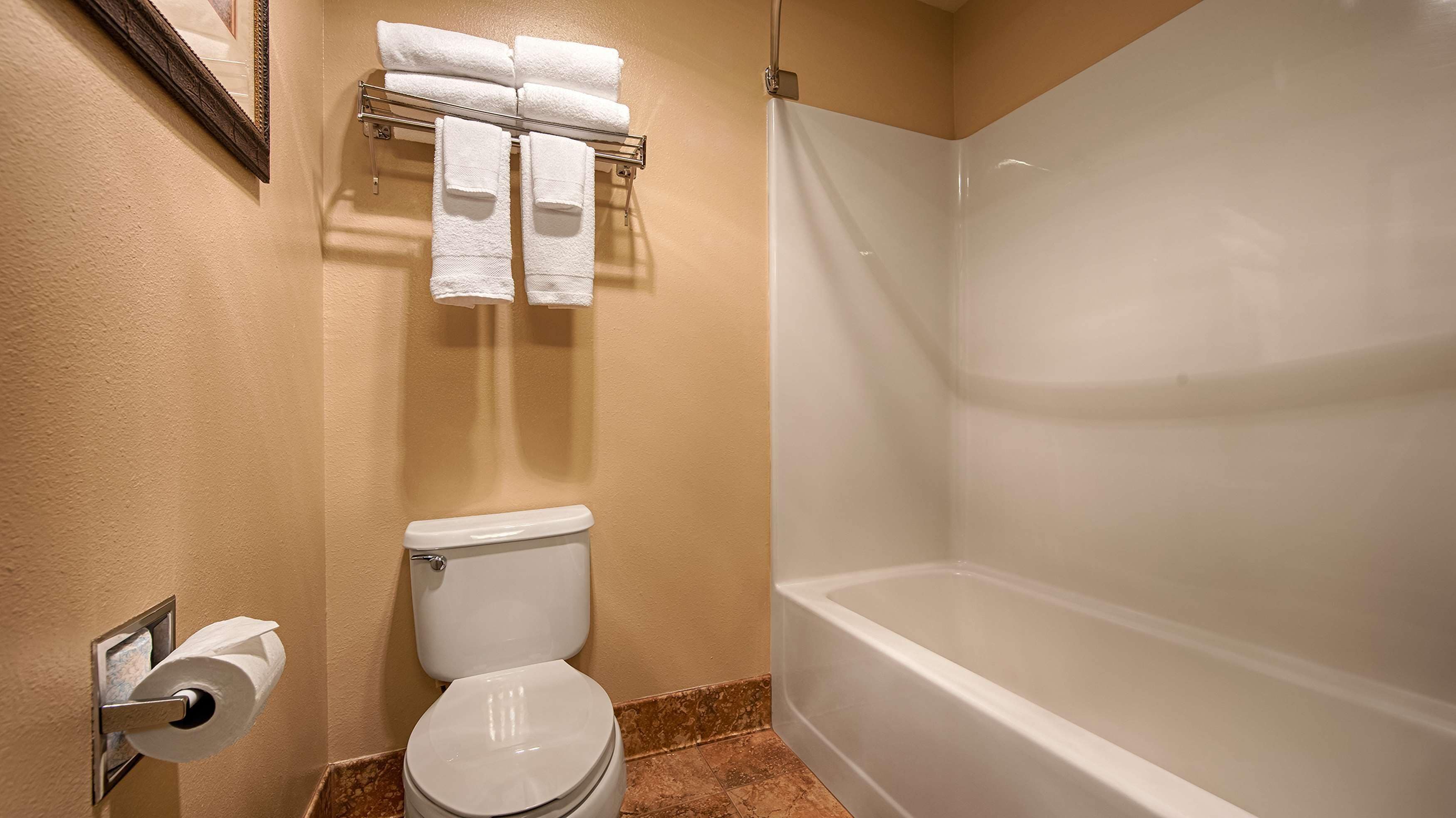 combined shower/bathtub, free toiletries, hair dryer, towels
