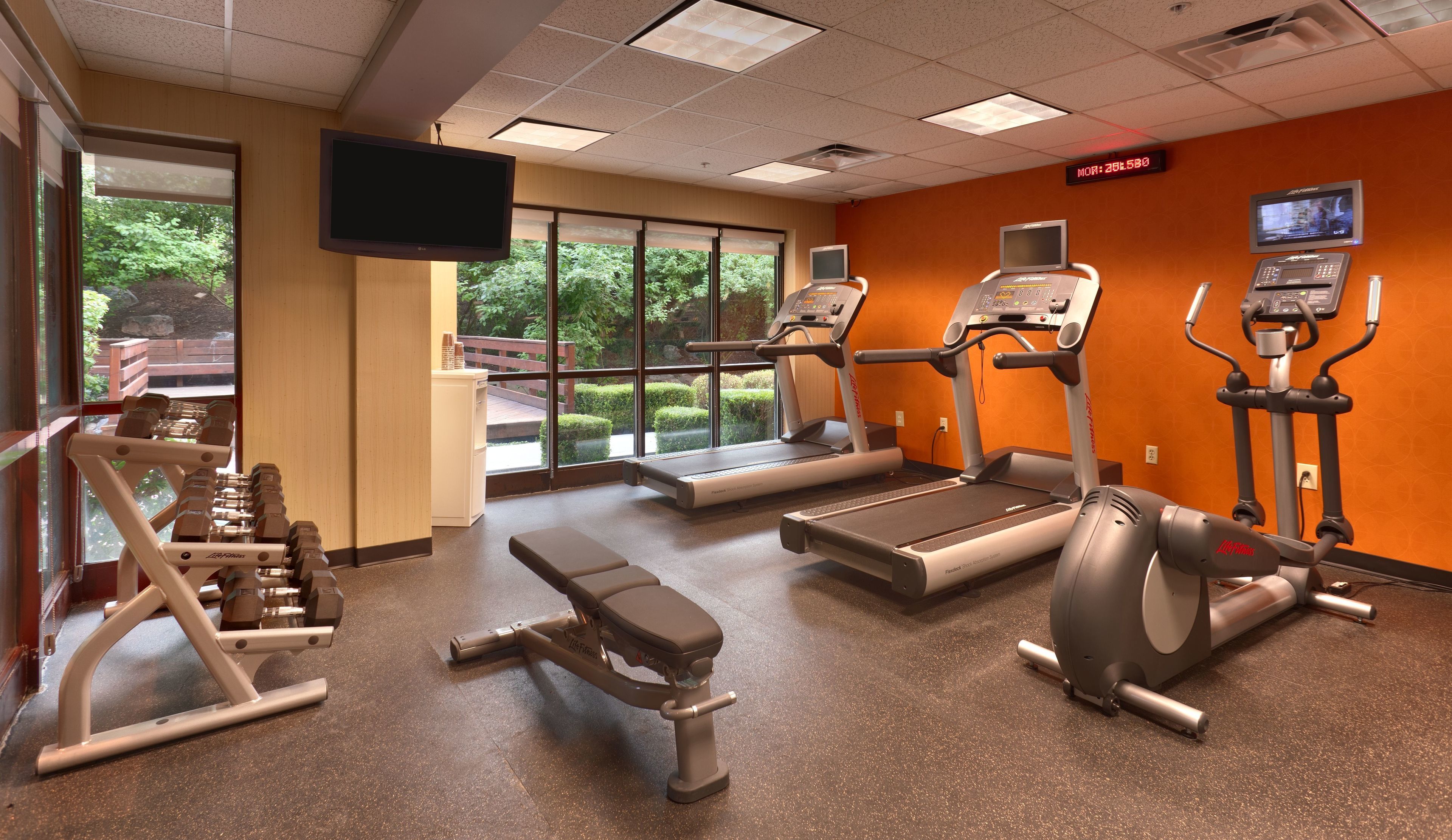 A gym with treadmills, elliptical machines, and weight benches.