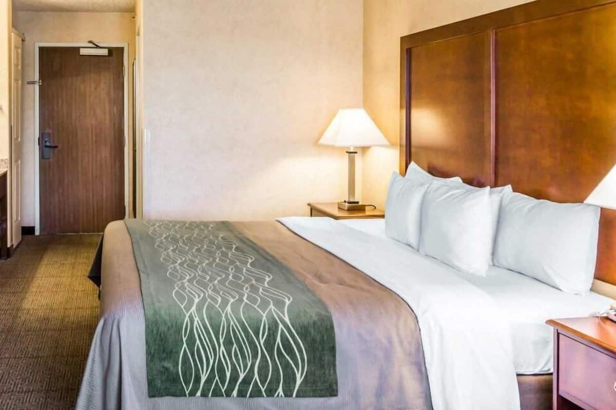 A hotel room with a bed, a nightstand, a lamp, a door, and a carpeted floor.