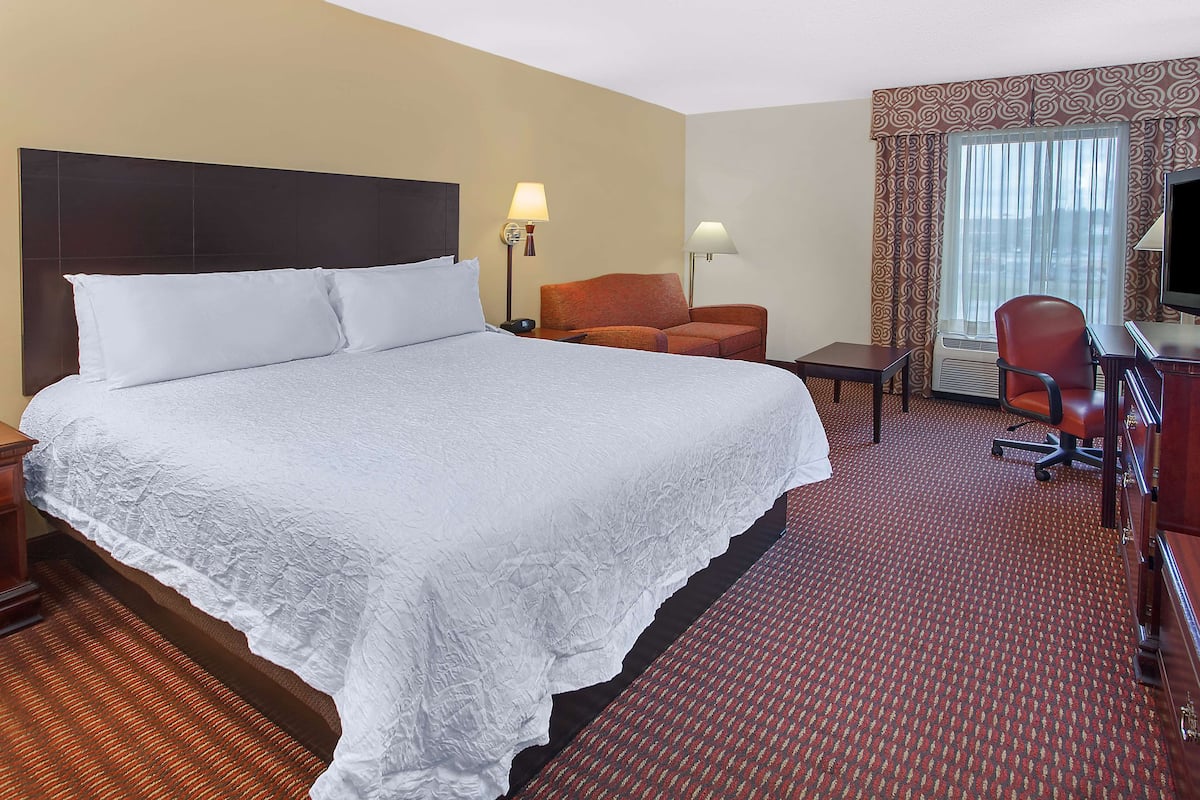 Study one king sofa bed non smoking | In-room safe, iron/ironing board, free cribs/infant beds, free WiFi