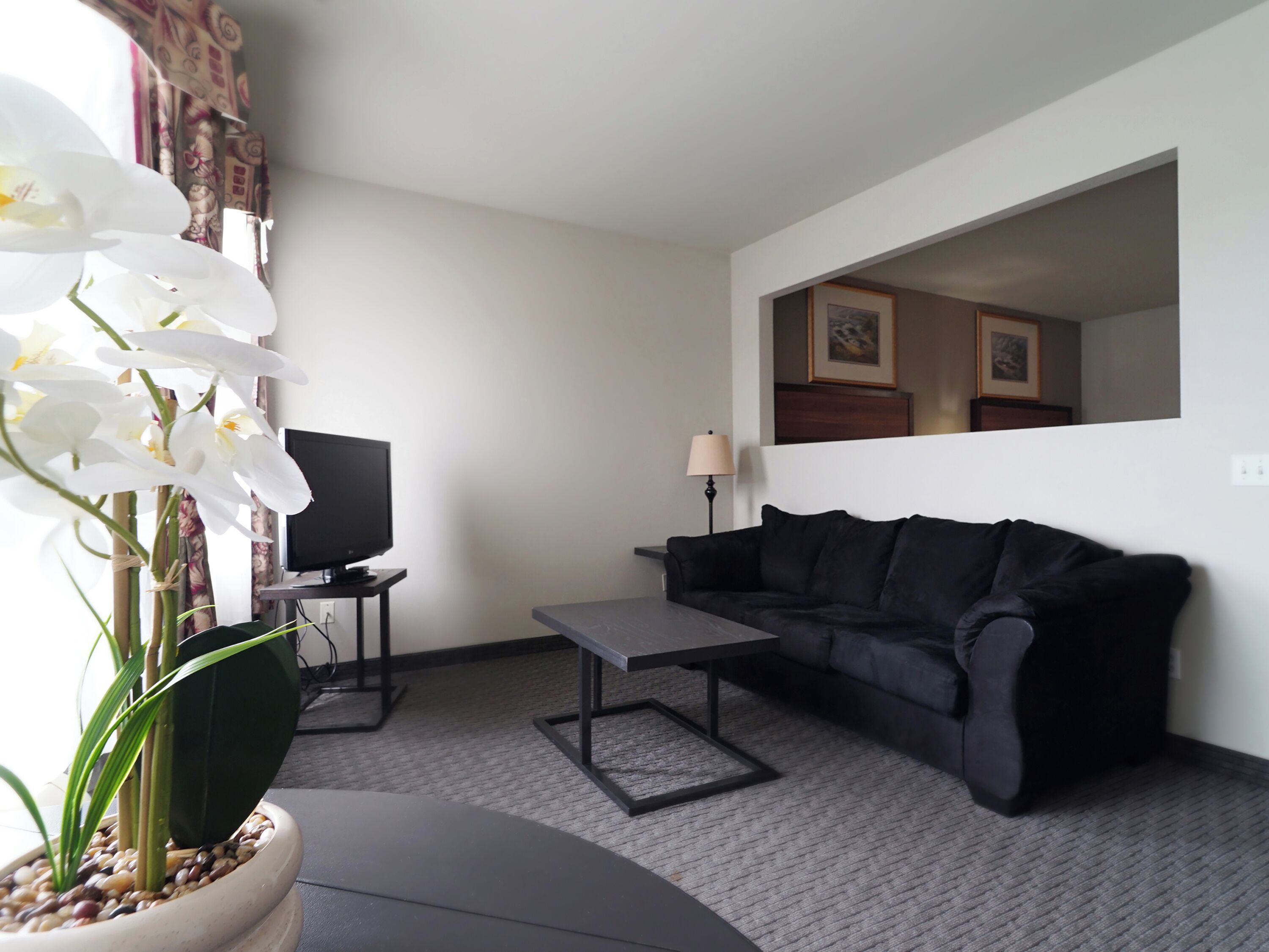 A living room with a black sofa, a small table, a TV on a stand, a potted orchid, and a lamp.