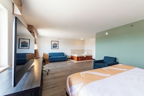Una habitación de hotel con cama, escritorio, sofá y baño con bañera.