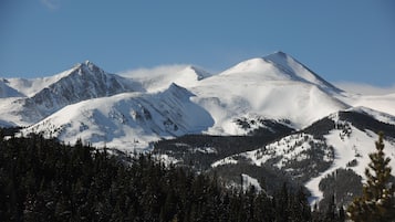A mountainous landscape with snow-covered peaks and a dense forest at the base.