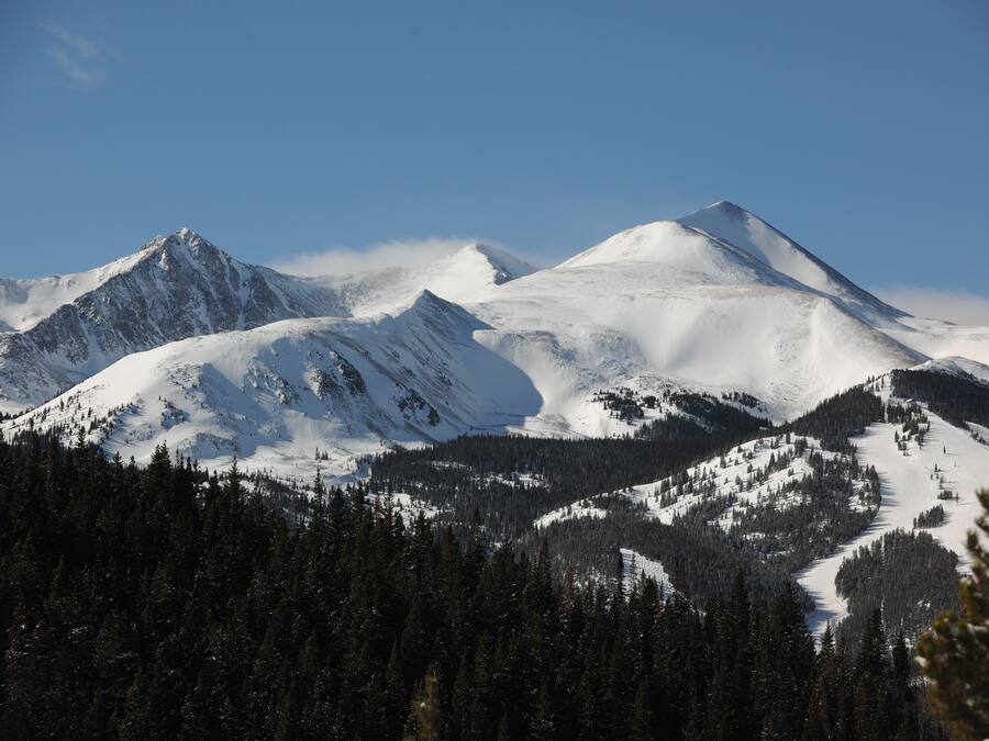 A mountainous landscape with snow-covered peaks and a dense forest at the base.