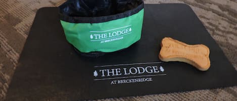 A black mat with "The Lodge at Breckenridge" printed on it, a green bag, and a bone-shaped object.