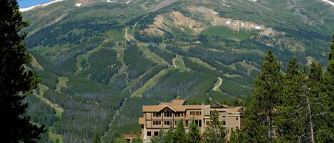 Un grand immeuble à étages, avec une vue impressionnante sur les montagnes, entouré d’une forêt dense.