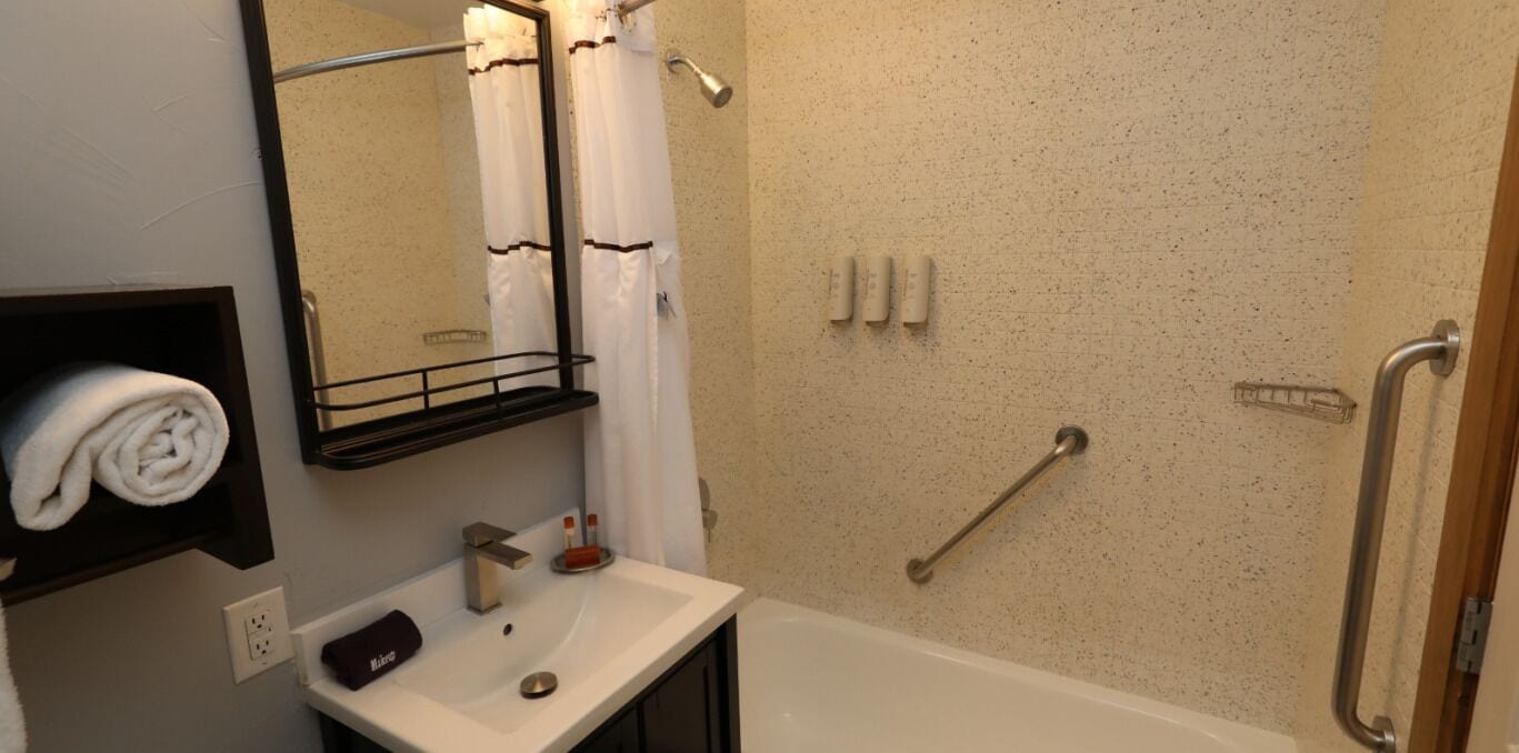 combined shower/bathtub, free toiletries, hair dryer, bathrobes