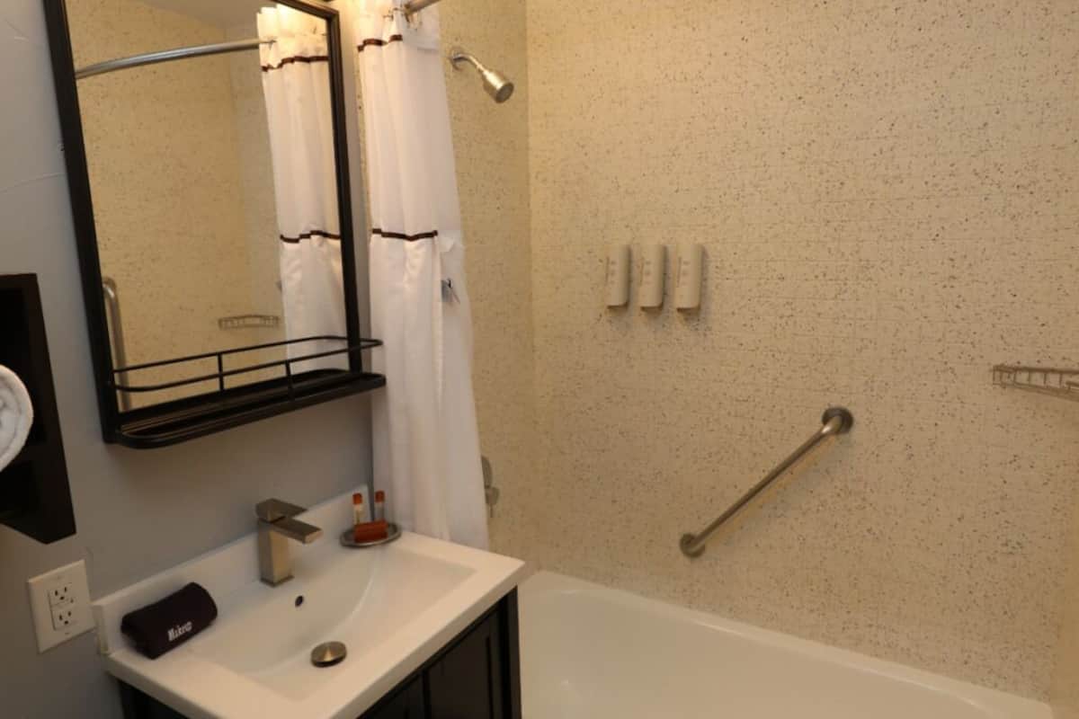 combined shower/bathtub, free toiletries, hair dryer, bathrobes