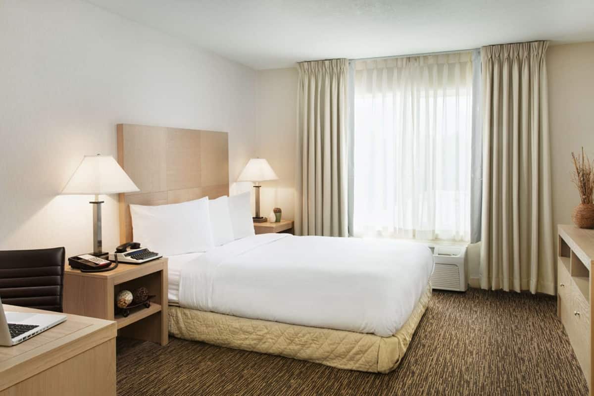 Habitación de hotel con cama, dos mesitas de noche con lámparas, un escritorio con una computadora portátil y un ventanal con cortinas.