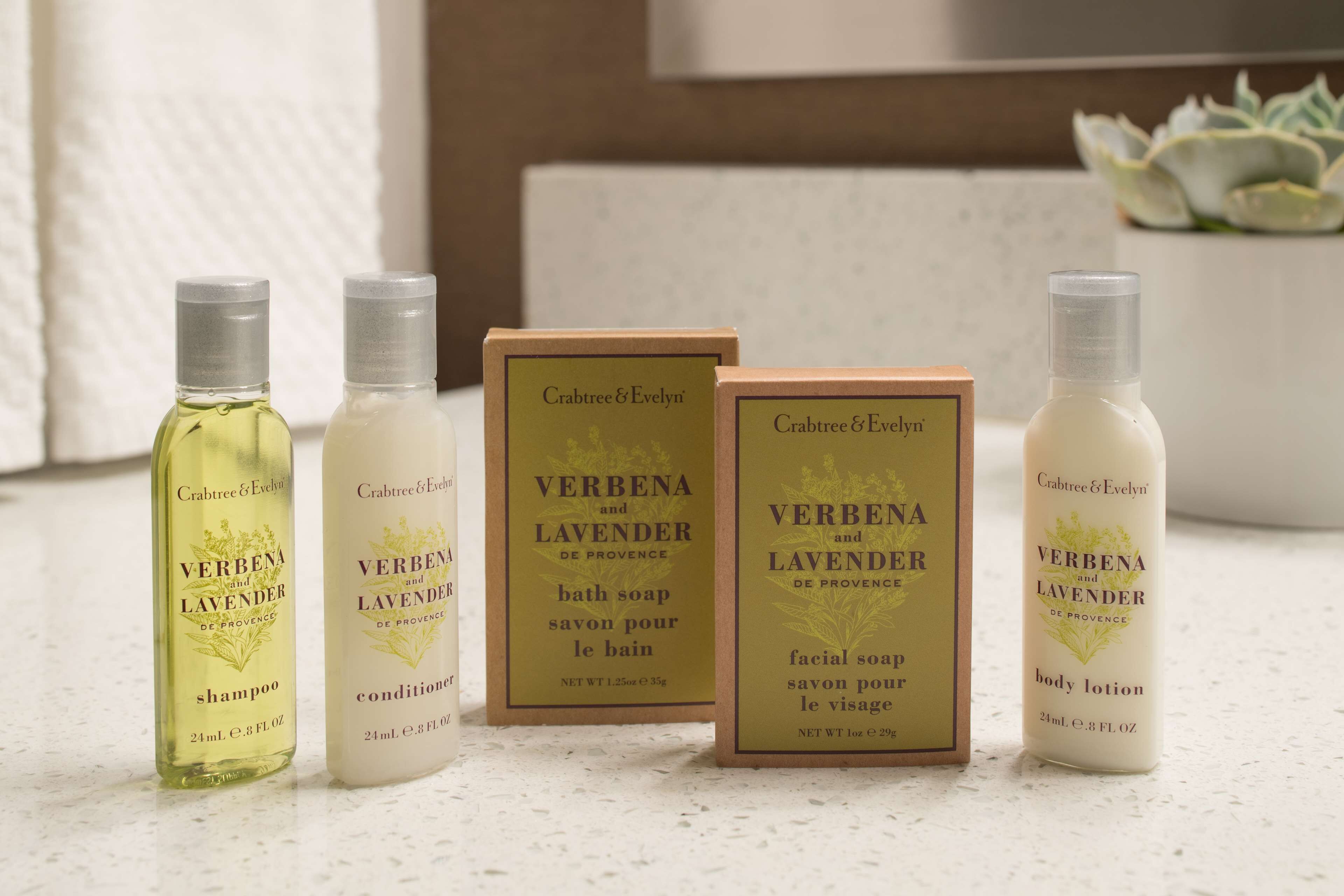 combined shower/bathtub, free toiletries, hair dryer, bathrobes