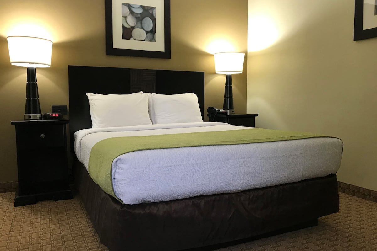 single room | desk, blackout curtains, iron/ironing board, free wifi