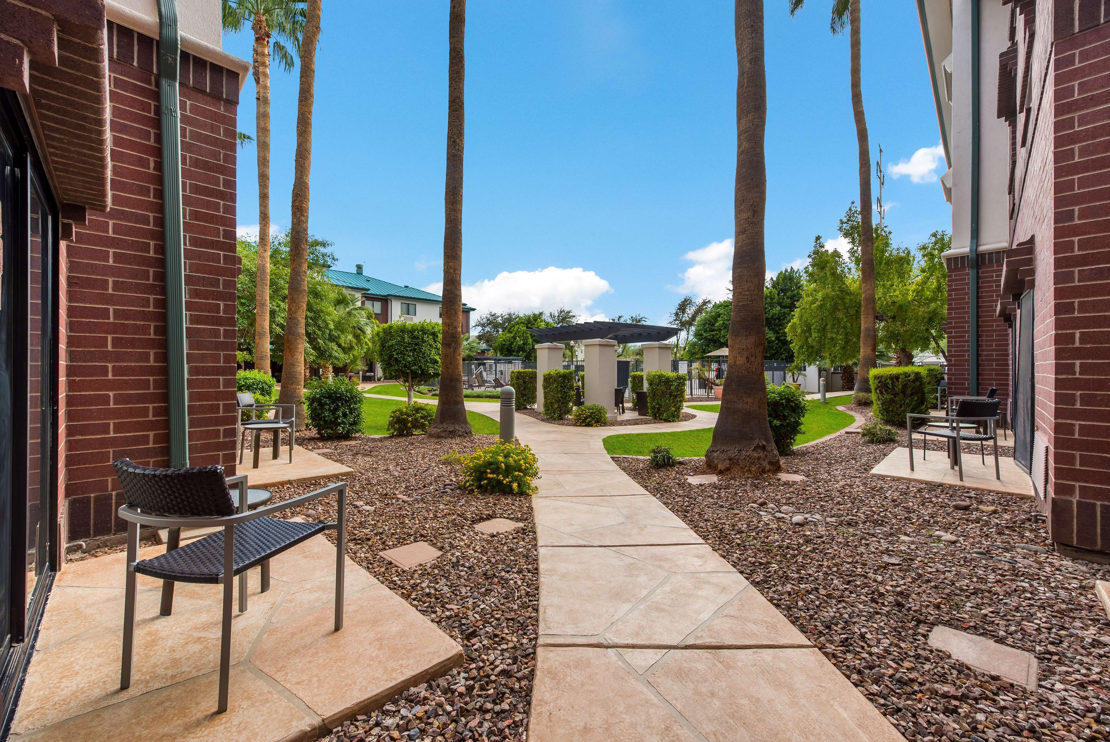 A courtyard with a paved walkway, benches, and palm trees.