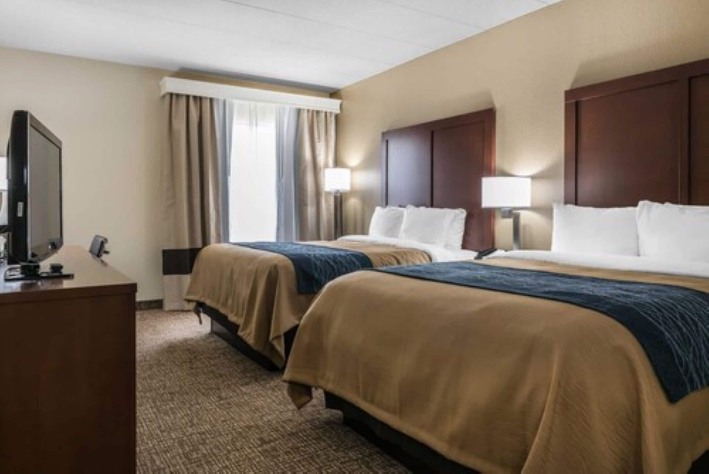 Photo - Comfort Inn Indianapolis North - Carmel