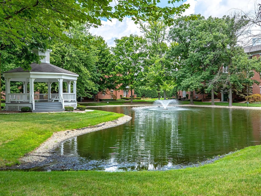 Área da propriedade