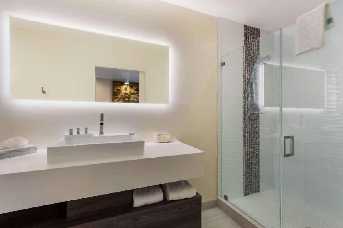 Bathroom | Combined shower/tub, free toiletries, hair dryer, towels