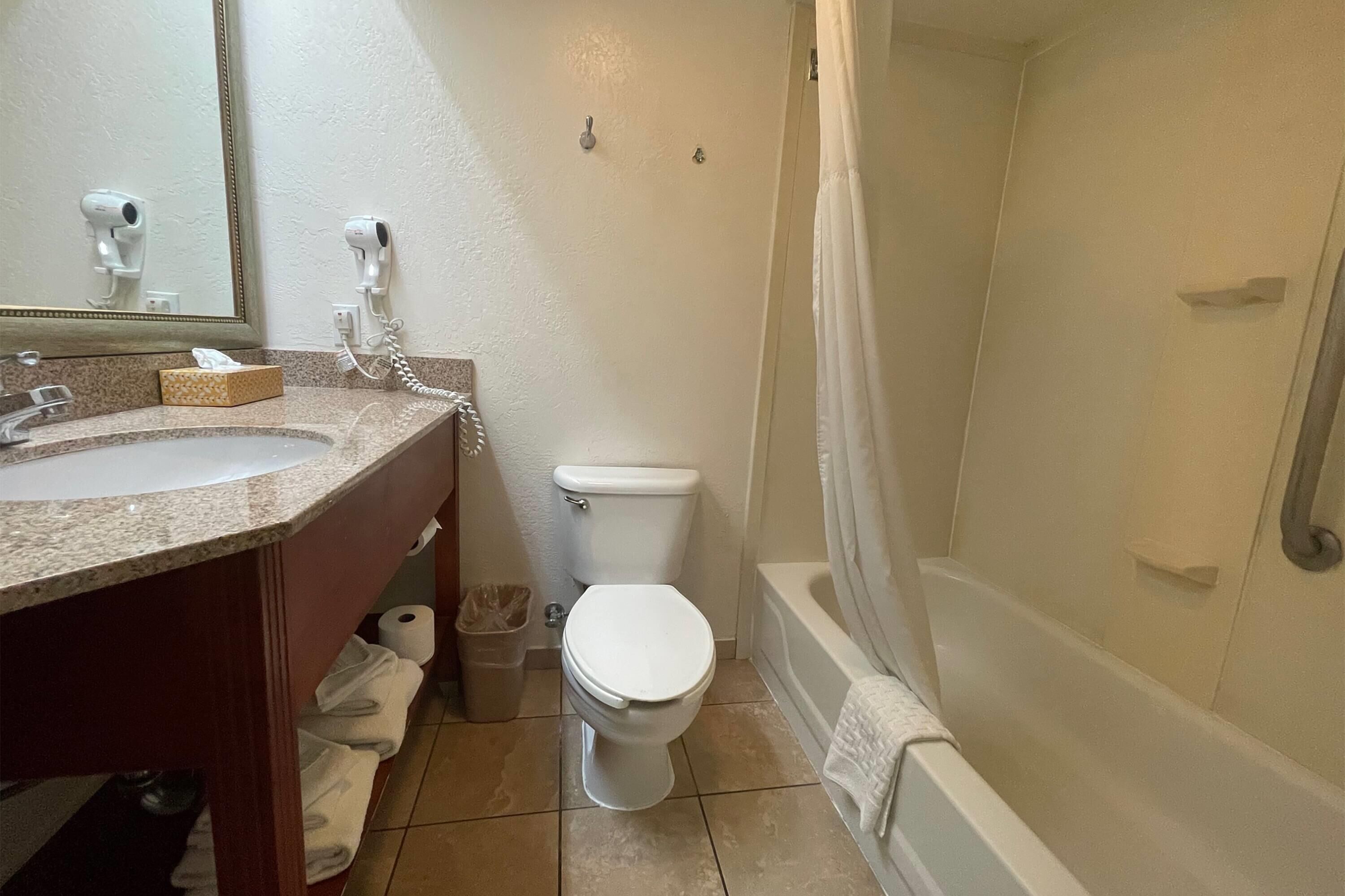 Une salle de bain avec un lavabo, des toilettes et une baignoire.
