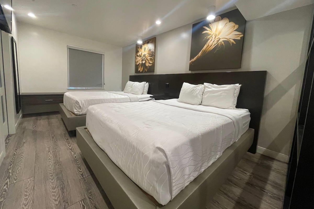 Una habitación de hotel moderna con dos camas, un ventanal grande y obras de arte en las paredes.