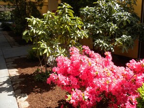 Property grounds - Econo Lodge Inn & Suites - Bellingham (Bellingham)