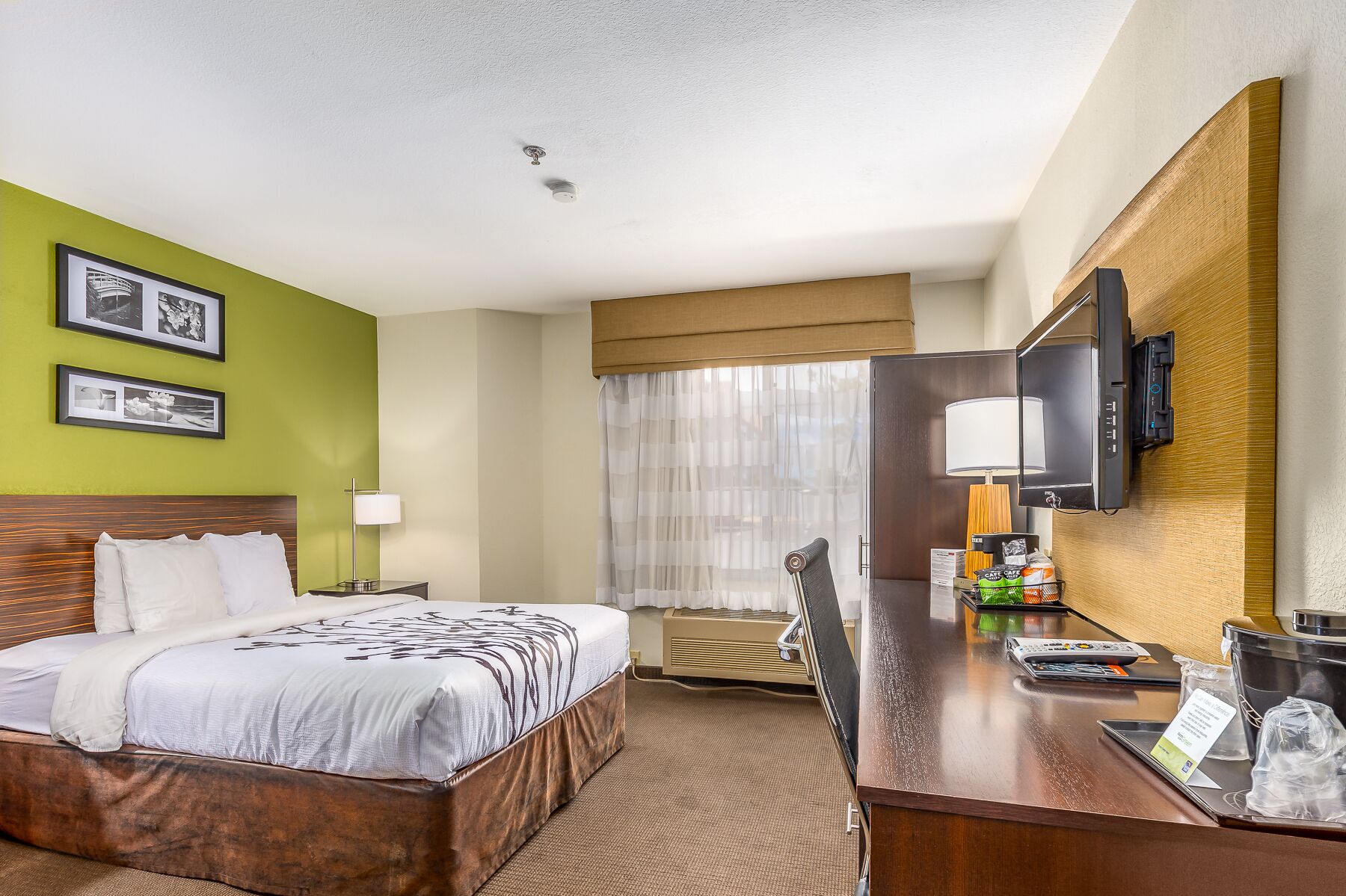 standard room, 1 king bed, non smoking | 1 bedroom, premium bedding, in-room safe, desk