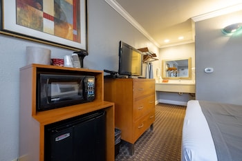 Standard Room, 1 Queen Bed, Non Smoking | Room amenity at SOMA Park Inn – Civic Center