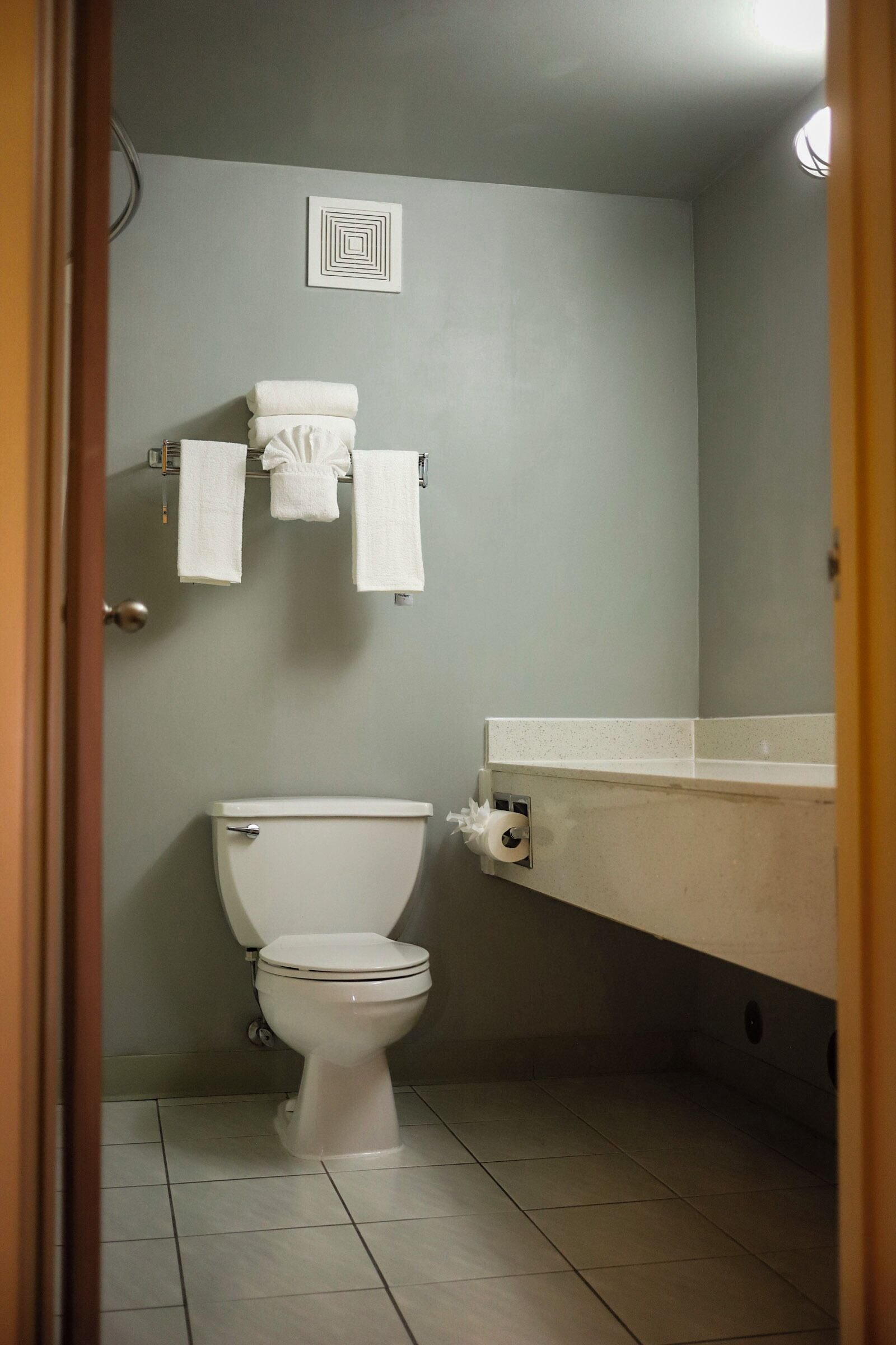 combined shower/bathtub, free toiletries, hair dryer, towels