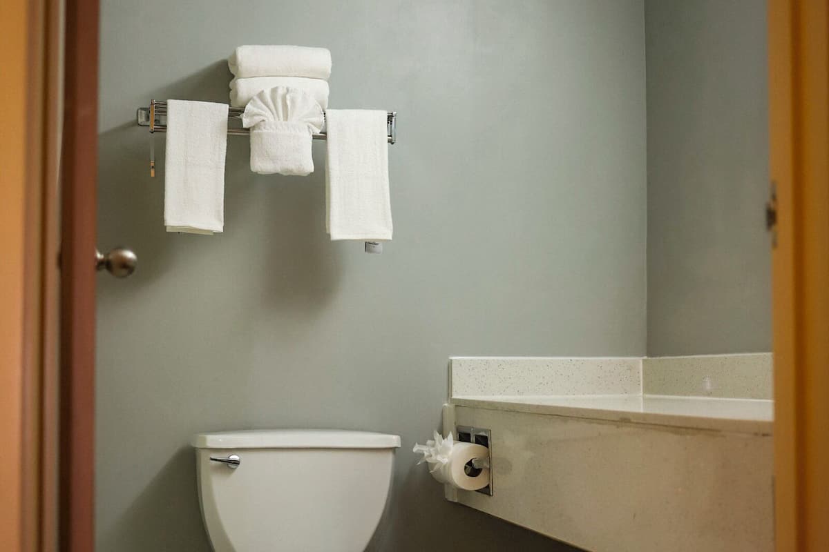 combined shower/bathtub, free toiletries, hair dryer, towels