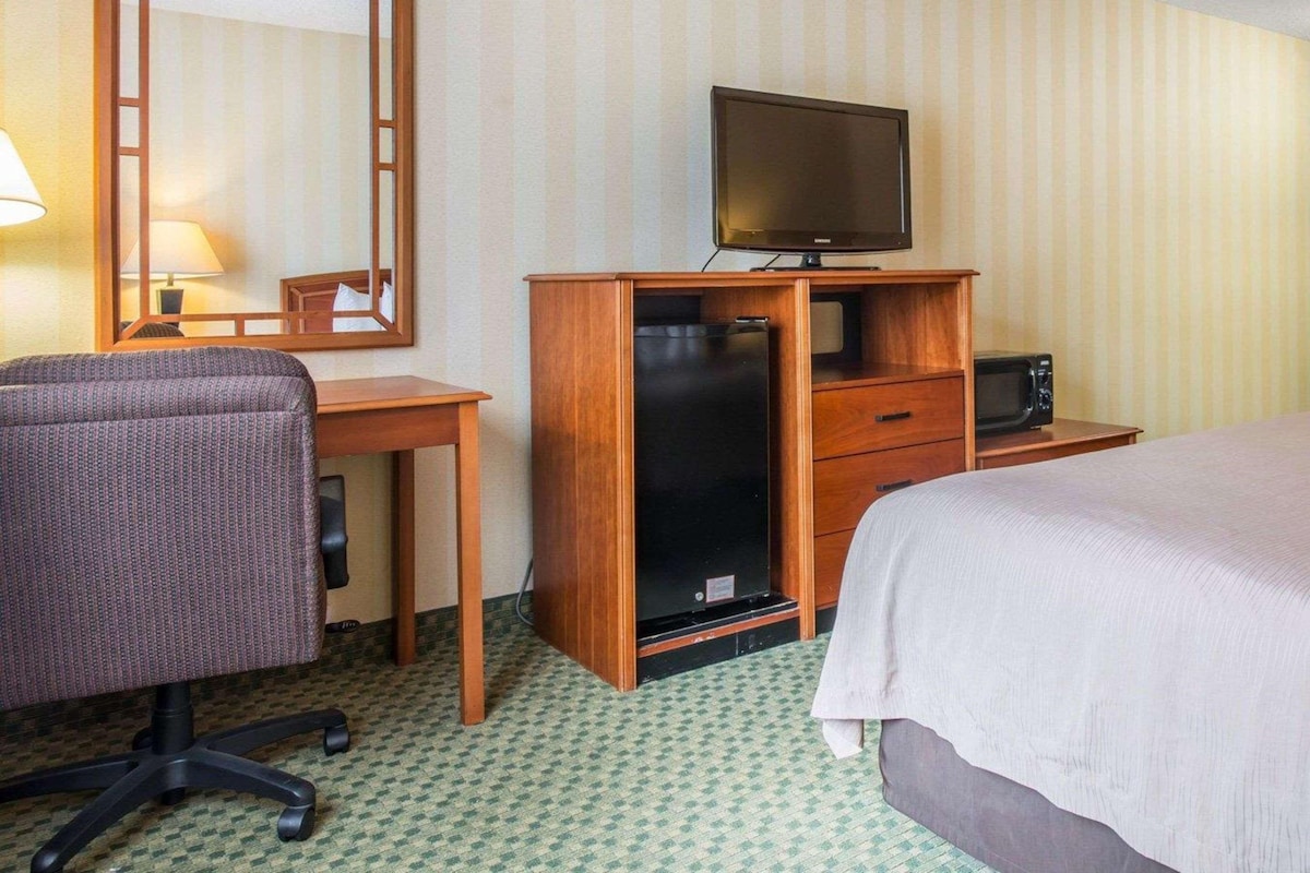 Une chambre d’hôtel comprenant un lit, un bureau avec une chaise, un téléviseur posé sur un meuble en bois, un four à micro-ondes et un réfrigérateur.