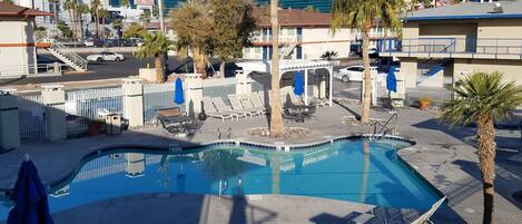 Zona de piscina con sillas de descanso, una palmera y vista del hotel MGM Grand al fondo.