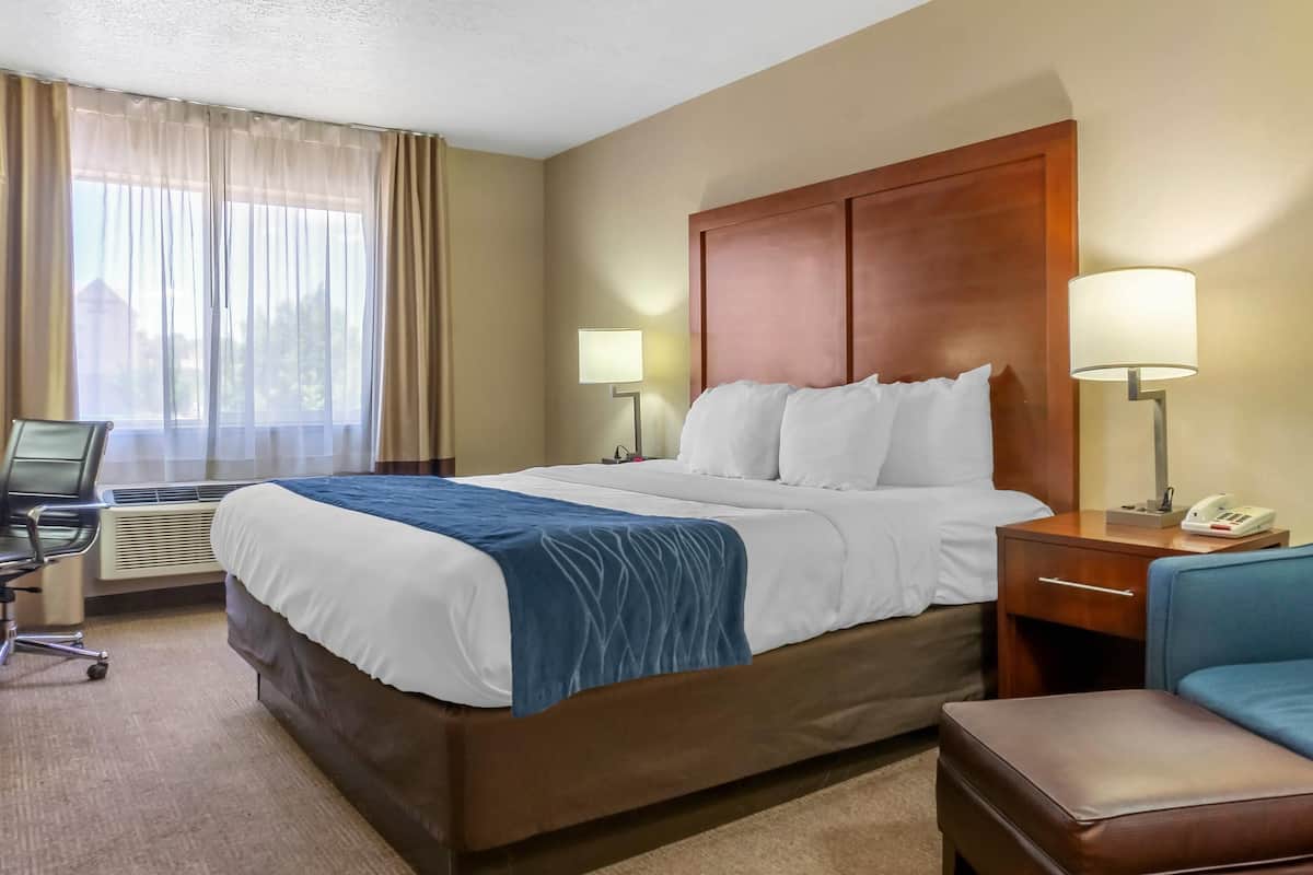 Standard Room, 1 King Bed, Non Smoking | Premium bedding, pillowtop beds, desk, laptop workspace