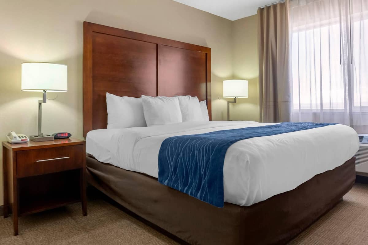 Premium bedding, pillow-top beds, desk, laptop workspace