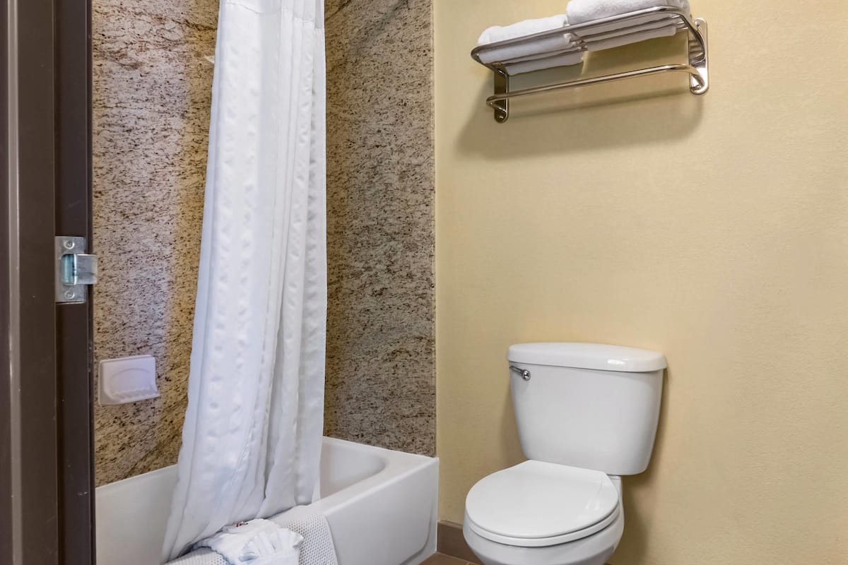 Suite, 1 King Bed, Non Smoking | Premium bedding, pillowtop beds, desk, laptop workspace