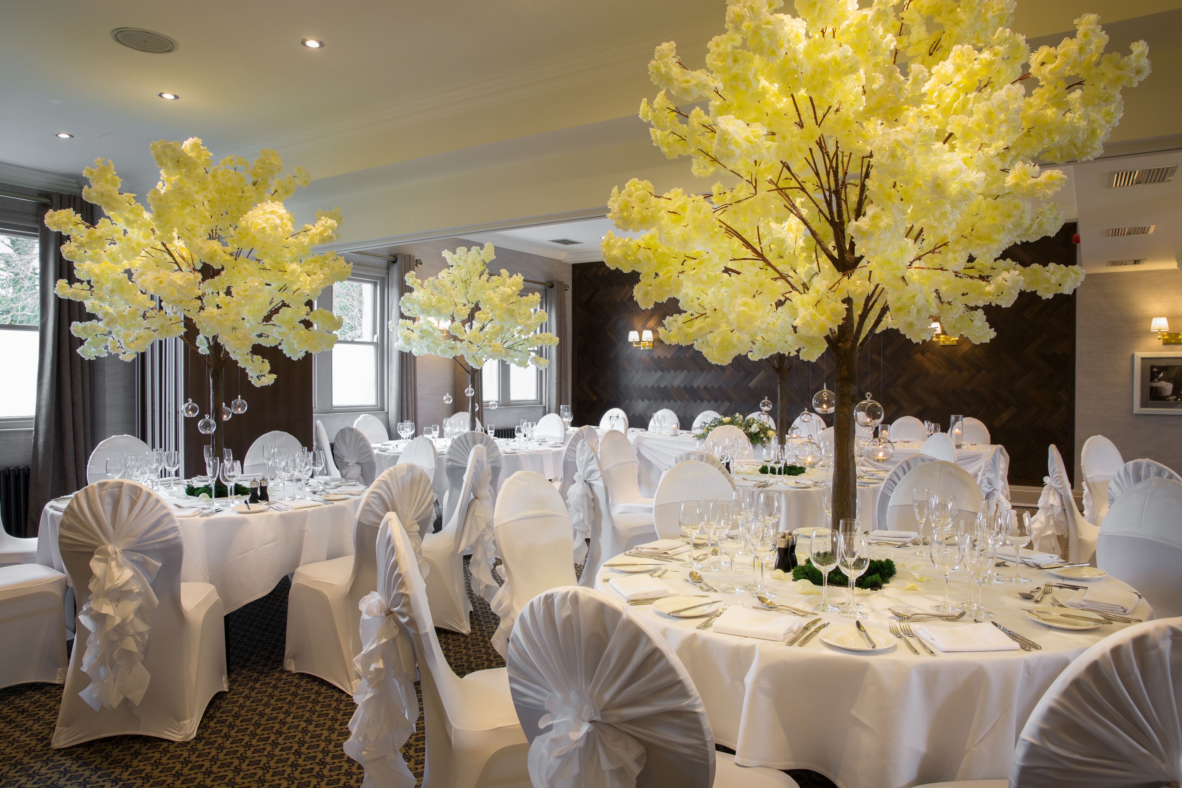A banquet hall with round tables, white tablecloths, and chairs with white sashes.