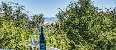 A bottle of wine and a glass on a stone ledge with a view of dense greenery and mountains in the background.