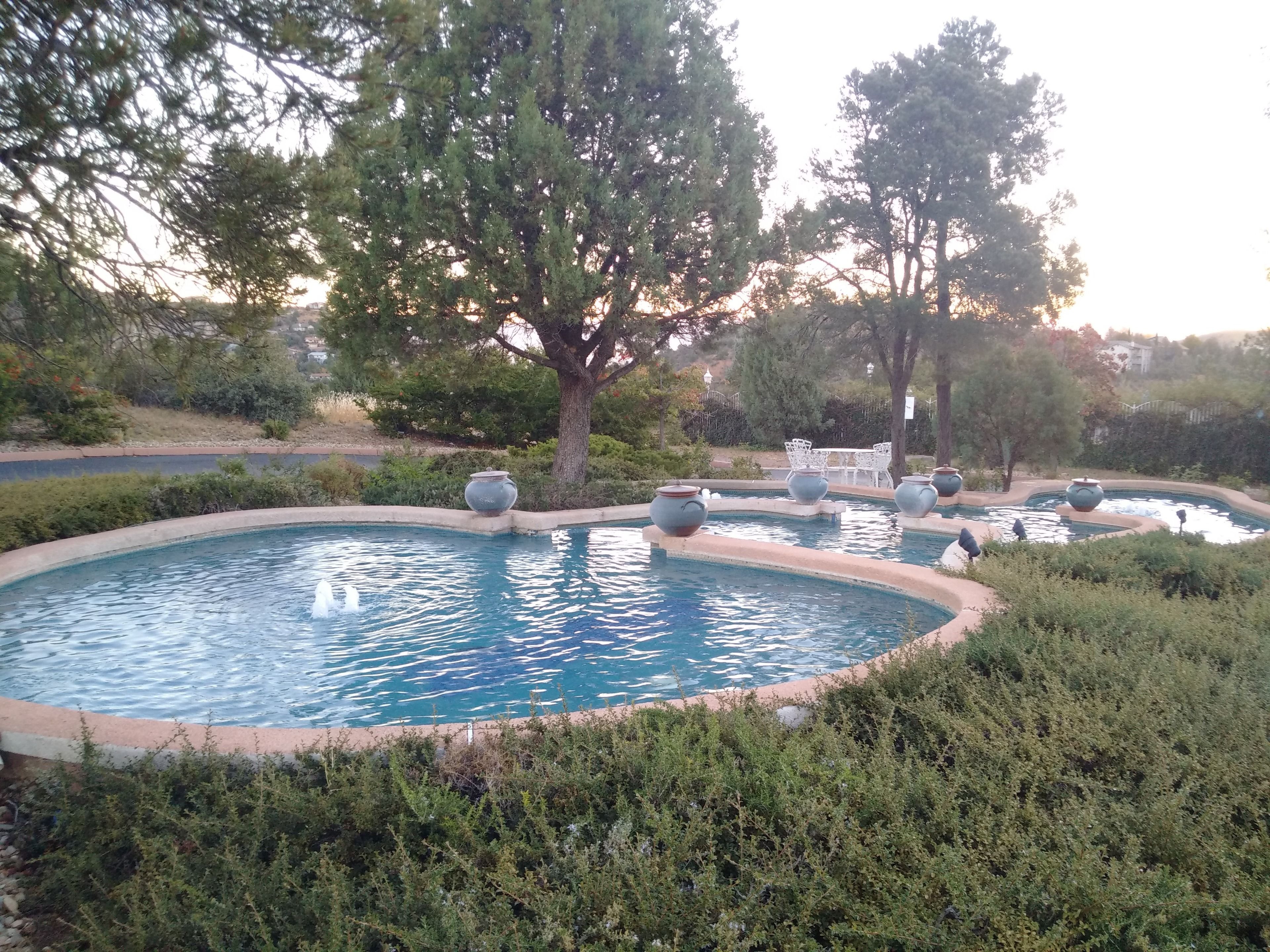 Un espace piscine agrémenté de plusieurs éléments décoratifs aquatiques de forme circulaire, entouré de verdure et d’arbres.
