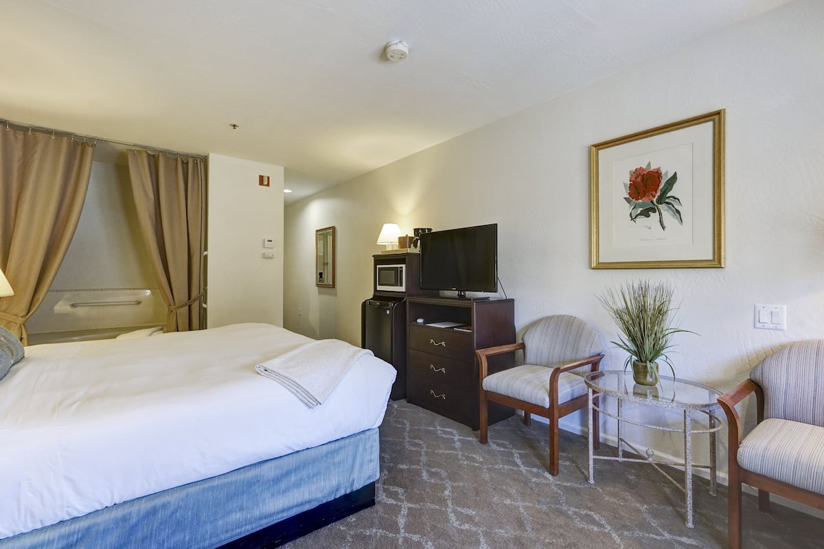 Ein Hotelzimmer mit einem Bett, einem Schreibtisch mit Fernseher, einem Sessel, einem kleinen Tisch mit Pflanze und einem gerahmten Bild an der Wand.